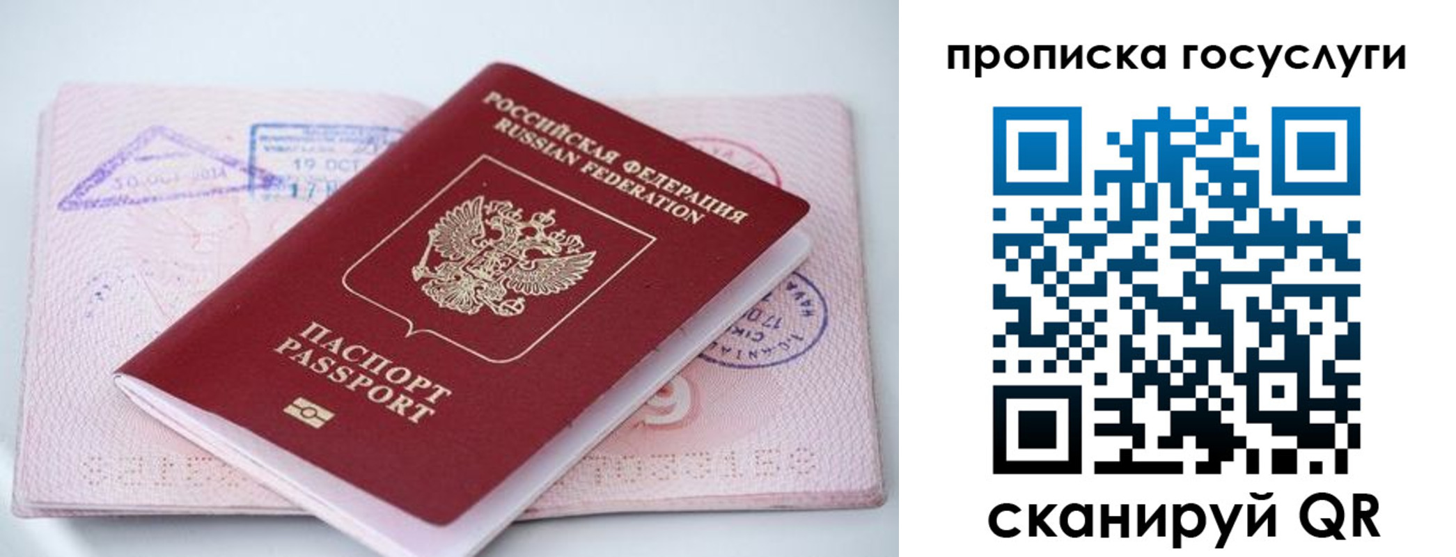 прописка законно в Камбарке